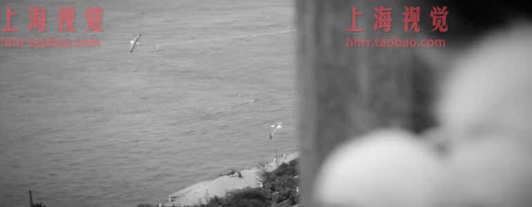 FCPX插件 ProMono 单色风格简约调色 for Final Cut Pro X