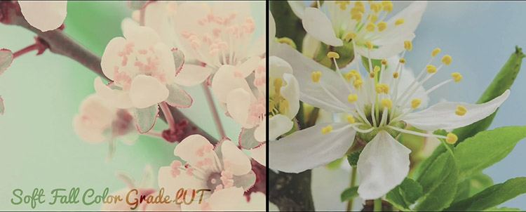 FCPX调色插件：60组唯美柔和清新 LUT 预设调色 LUT-Soft