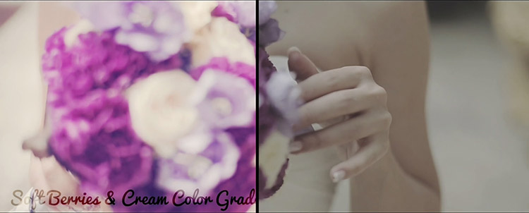 FCPX调色插件：60组唯美柔和清新 LUT 预设调色 LUT-Soft