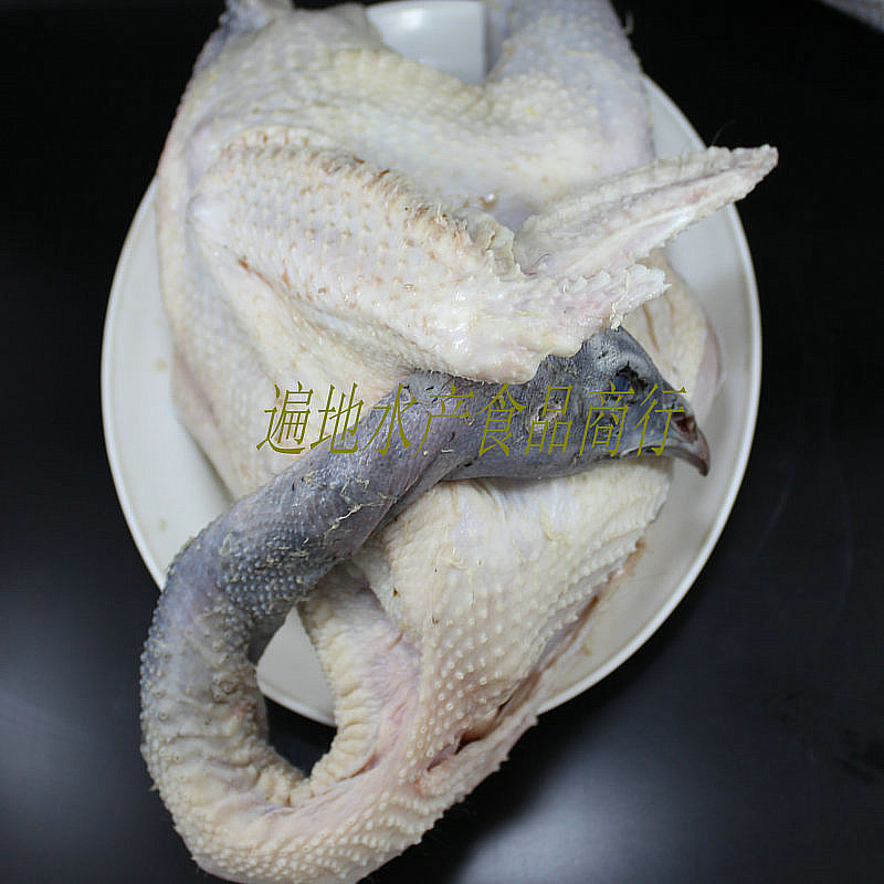 蓝孔雀肉 食补食材年货必备3斤起拍 假一罚十(爱美食)