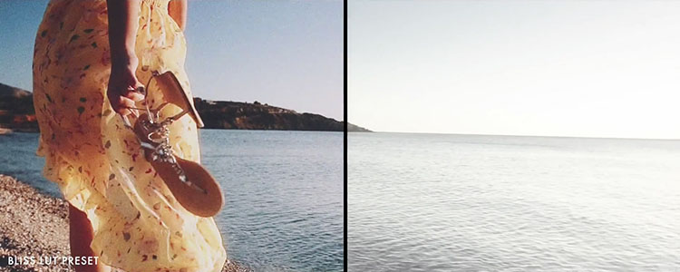 FCPX调色插件：60组古典/现代流行浓郁 LUT 预设调色 LUT-Film             60组电影质感日系小清新MV调色预设 LUT-Film(FCPX达芬奇AEPr等)