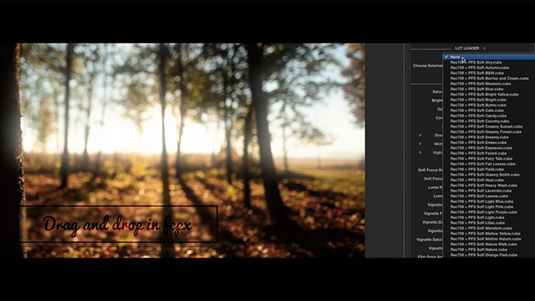 FCPX调色插件：60组唯美柔和清新 LUT 预设调色 LUT-Soft