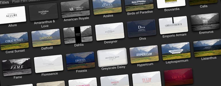 FCPX插件 ProIntro V2 标题信息创意设计模板            FCPX插件：30种优雅简约字幕标题信息创意设计效果  ProIntro V2
