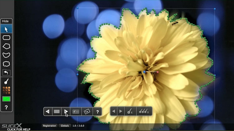 FCPX插件 SliceX TrackX 高级遮罩自动跟踪滤镜-天天素材网