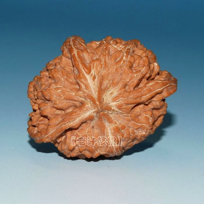 [转载]几个文玩核桃的名字和别称