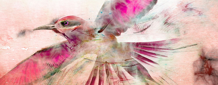 FCPX 转场插件：20种撕裂溶解噪波划痕转场效果 TranSolve