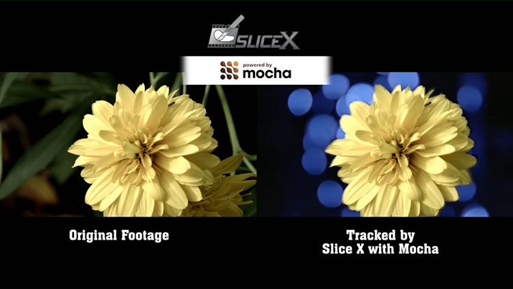 FCPX插件 SliceX TrackX 高级遮罩自动跟踪滤镜