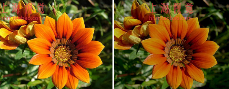 FCPX插件 ProLens 专业光学镜头处理 for Final Cut Pro X