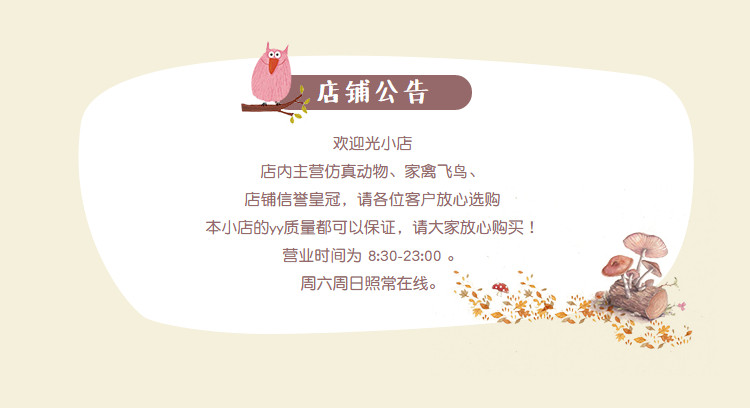 O1CN01PKIBOm1HE5el3zkiz_!!1712710725.jpg?time=1576375542000