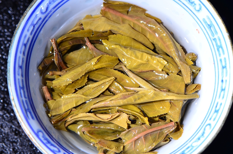 追溯真正的六大古茶山!莽枝王古树!茶骨滋味重现!-郭少华藏剑山庄